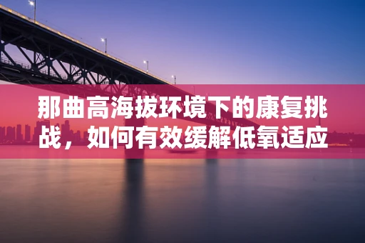 那曲高海拔环境下的康复挑战，如何有效缓解低氧适应不良？