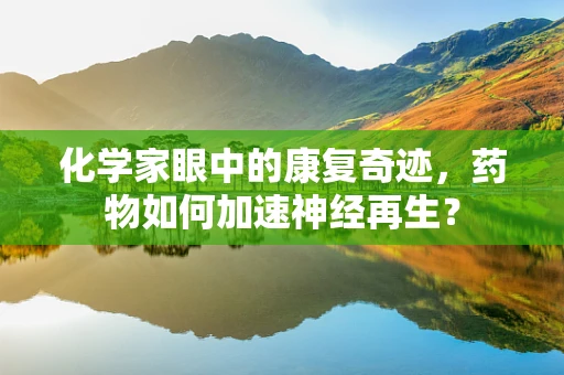 化学家眼中的康复奇迹，药物如何加速神经再生？